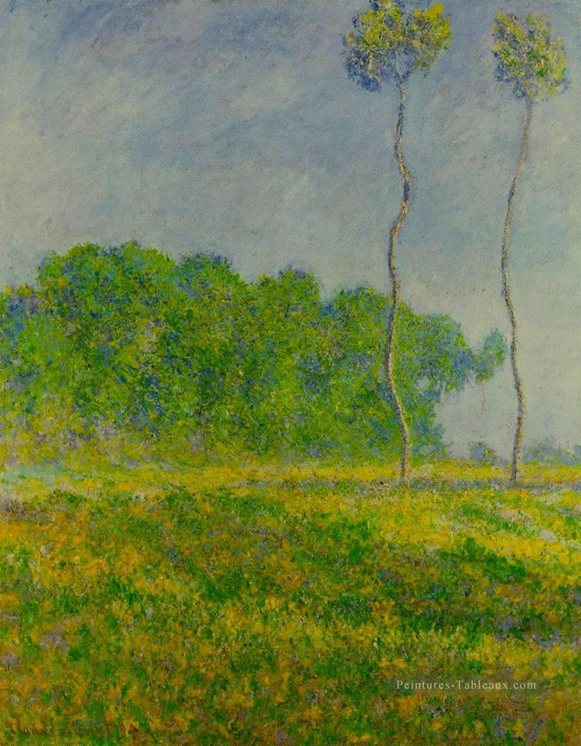 Printemps Paysage Claude Monet Peintures à l'huile